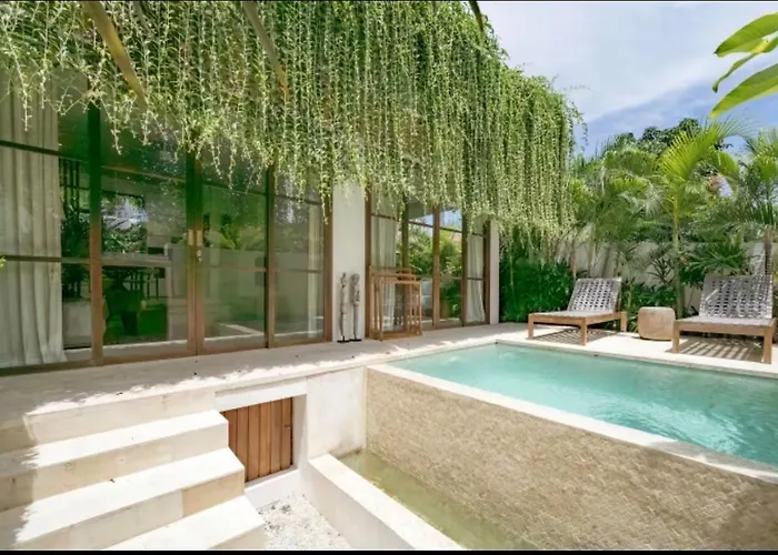 Amir Villa